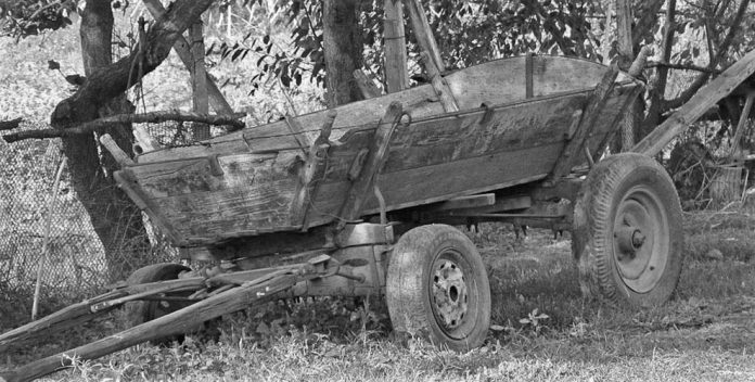 „S-a uitat în ochii noștri și a tăcut”. Tânărul de 26 de ani, suspectat de moartea groaznică a bărbatului din Văsieni, și-a recunoscut fapta. Minorul implicat merge la școală cu brățara GPS