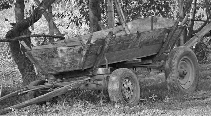 „S-a uitat în ochii noștri și a tăcut”. Tânărul de 26 de ani, suspectat de moartea groaznică a bărbatului din Văsieni, și-a recunoscut fapta. Minorul implicat merge la școală cu brățara GSP