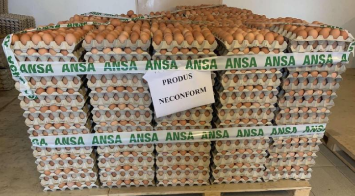 Un lot de ouă infectate cu Salmonella, retras din magazine: Cumpărătorii, rugați să nu le consume și să le returneze