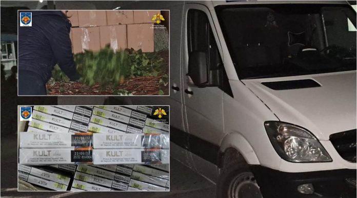 Contrabandă de amploare la Lipcani: 1,9 milioane de țigarete ascunse printre plante decorative, cu destinația București