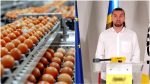 Scumpirile la ouă îi afectează și pe deputați? Maxim Potîrniche: Merg la piață să caut prețuri mai mici. Trebuie să intervenim cumva