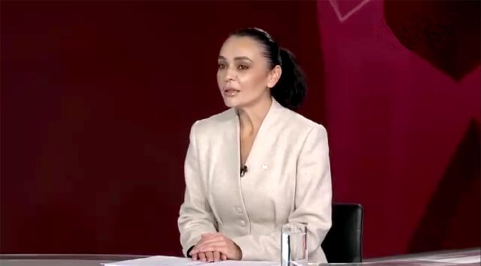 VIDEO | Elena Gritco: Avem 29 de proiecte de lege și sperăm să avem susținerea și celorlate fracțiuni