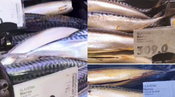 (video) Moldovenii, îngroziți de creșterea dublă a prețului la macrou: „Înainte mâncam „siliotcă” când rămâneam fără bani, dar acum – la salariu”