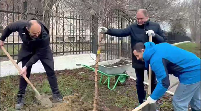 Ion Ceban: Mă bucur că practica de a planta arbori devine an de an o tradiție frumoasă pentru municipiul nostru