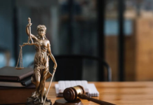 O judecătoare, recunoscută vinovată după ce a pronunțat o încheiere contrară legii, dar eliberată de pedeapsa penală: O companie afiliată lui Platon, implicată