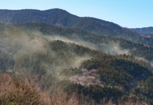 Japonia pierde 1.600.000.000 de dolari în fiecare zi pentru o greșeală banală din anii ’50. Ce este „norul” invizibil care a îmbolnăvit jumătate de țară